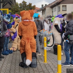 250927_Suitwalk_Miltenberg