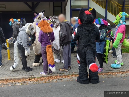 IMG_20250927_141735_617