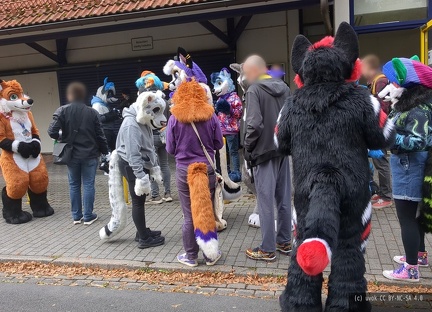 IMG_20250927_141736_623