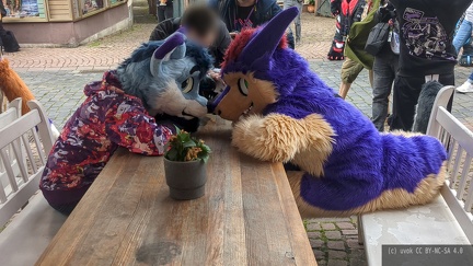 IMG_20250927_150133_393