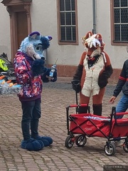 IMG_20250927_151450_031