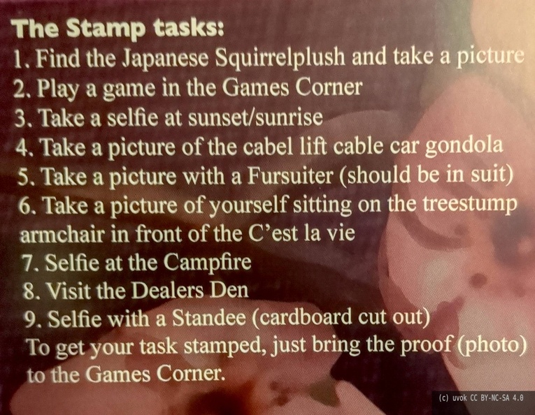 Photo of the con book listing the scavenger hunt tasks.