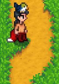 Screenshot of modded Stardew Valley, showing the player character with anthro legs   and a fox tail